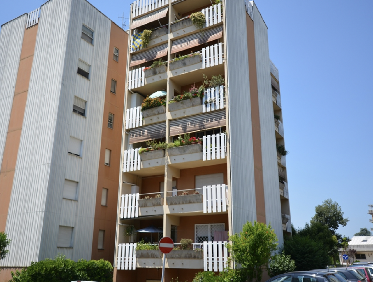 Cooperativa COLLE TIMIO Frosinone